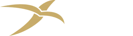 Bitlux